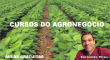 Curso