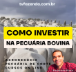 Curso