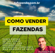 Curso
