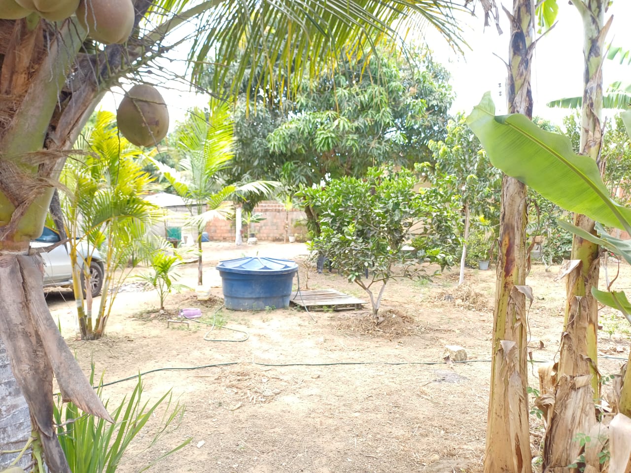 VENDO CHACARA EM RIO LARGO - ALAGOAS