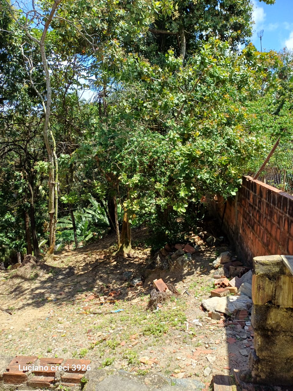 SITIO EM PARIPUEIRA - ALAGOAS