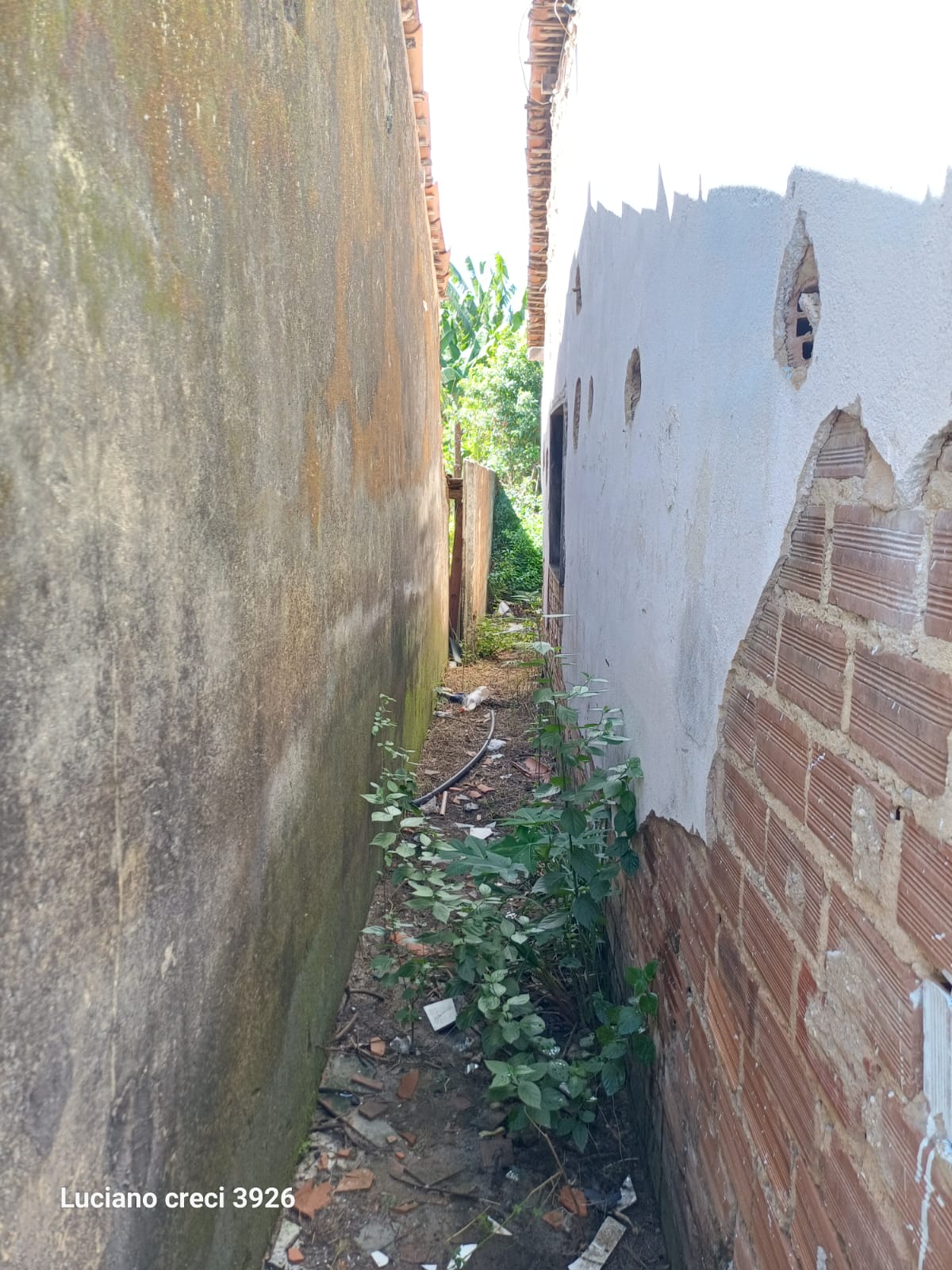 *VENDO CASA NA SANTA LÚCIA EM FRENTE A PIZZARIA BORDA DE OURO*