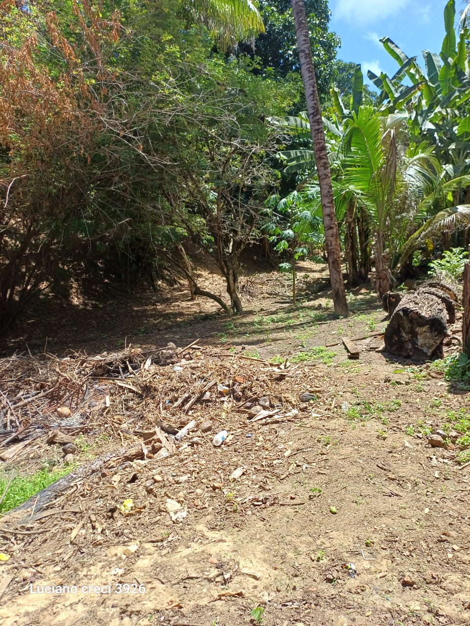 SITIO EM PARIPUEIRA - ALAGOAS