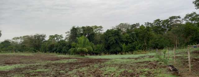 Chácara 6,6 ha - Rio Negro-Ms