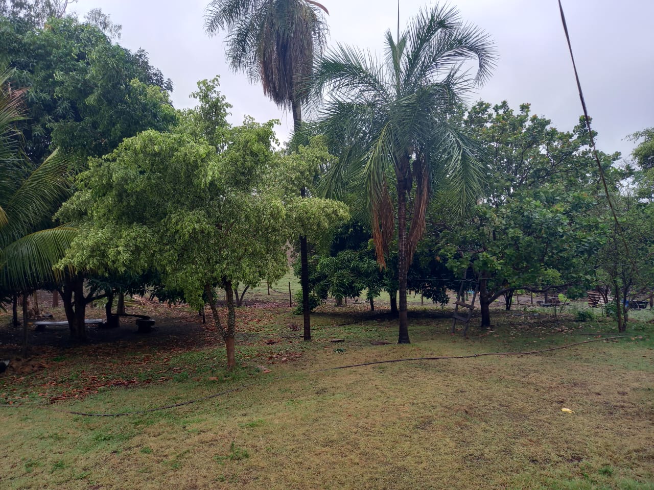 Chácara 6,6 ha - Rio Negro-Ms