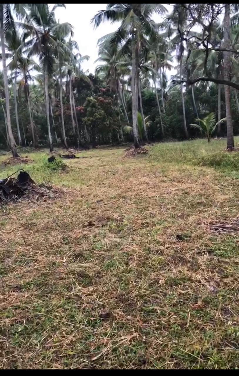 VENDO 70.000 MT² NA MASSAGUEIRA, BEIRA DA LAGOA. - MACEIO - ALAGOAS
