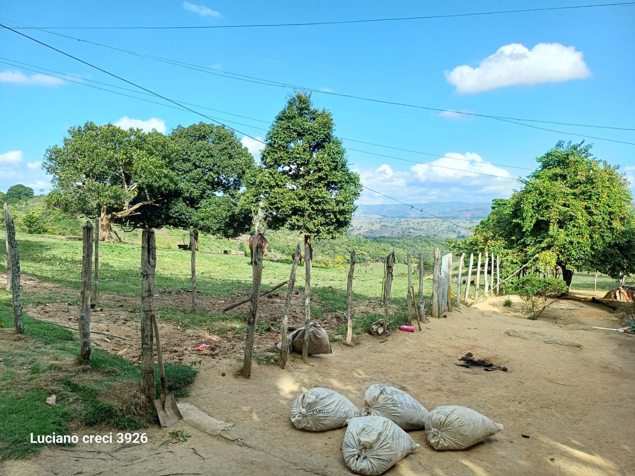 VENDO FAZENDA EM UNIAO DOS PALMARES - ALAGOAS