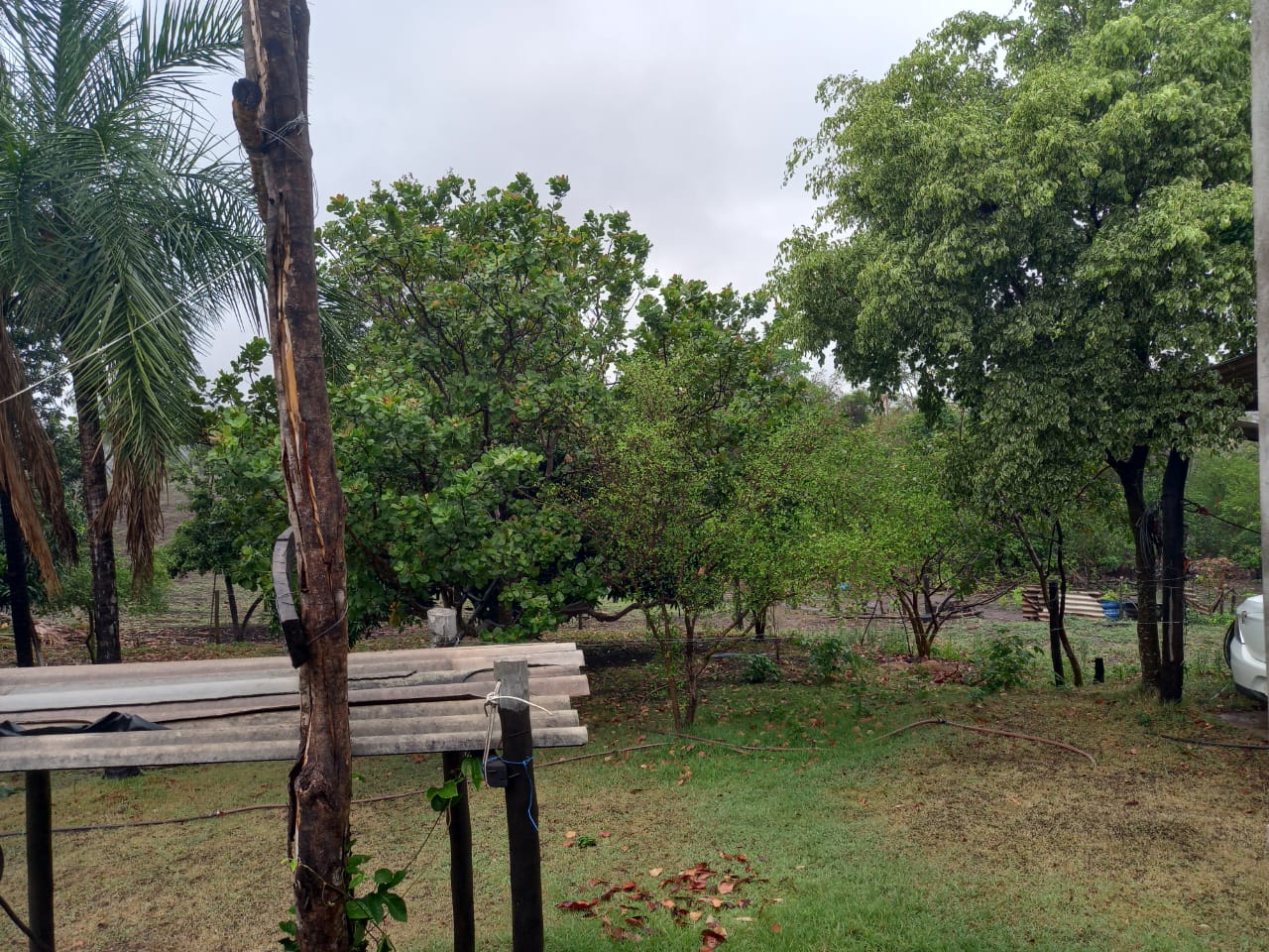 Chácara 6,6 ha - Rio Negro-Ms