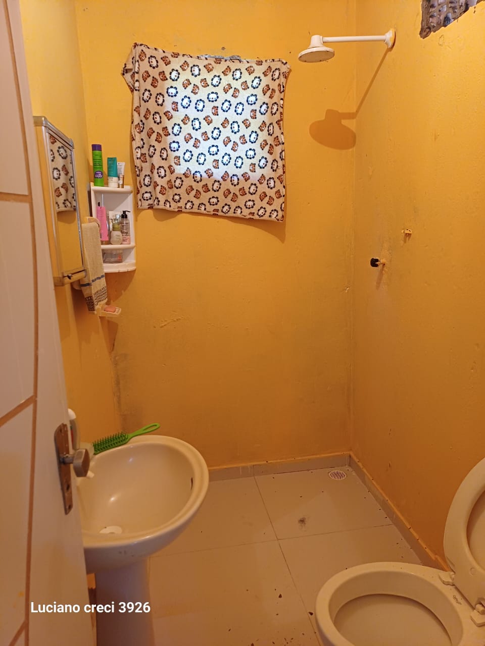 SITIO EM PARIPUEIRA - ALAGOAS