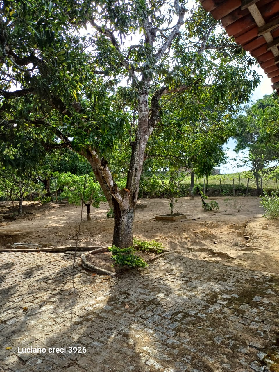 VENDO FAZENDA EM UNIAO DOS PALMARES - ALAGOAS