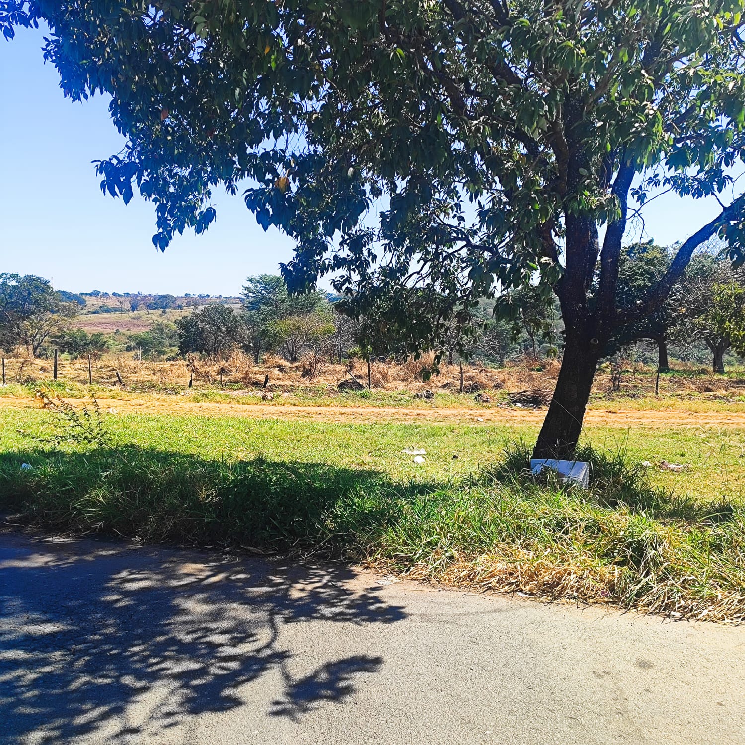 Lote em Goiânia