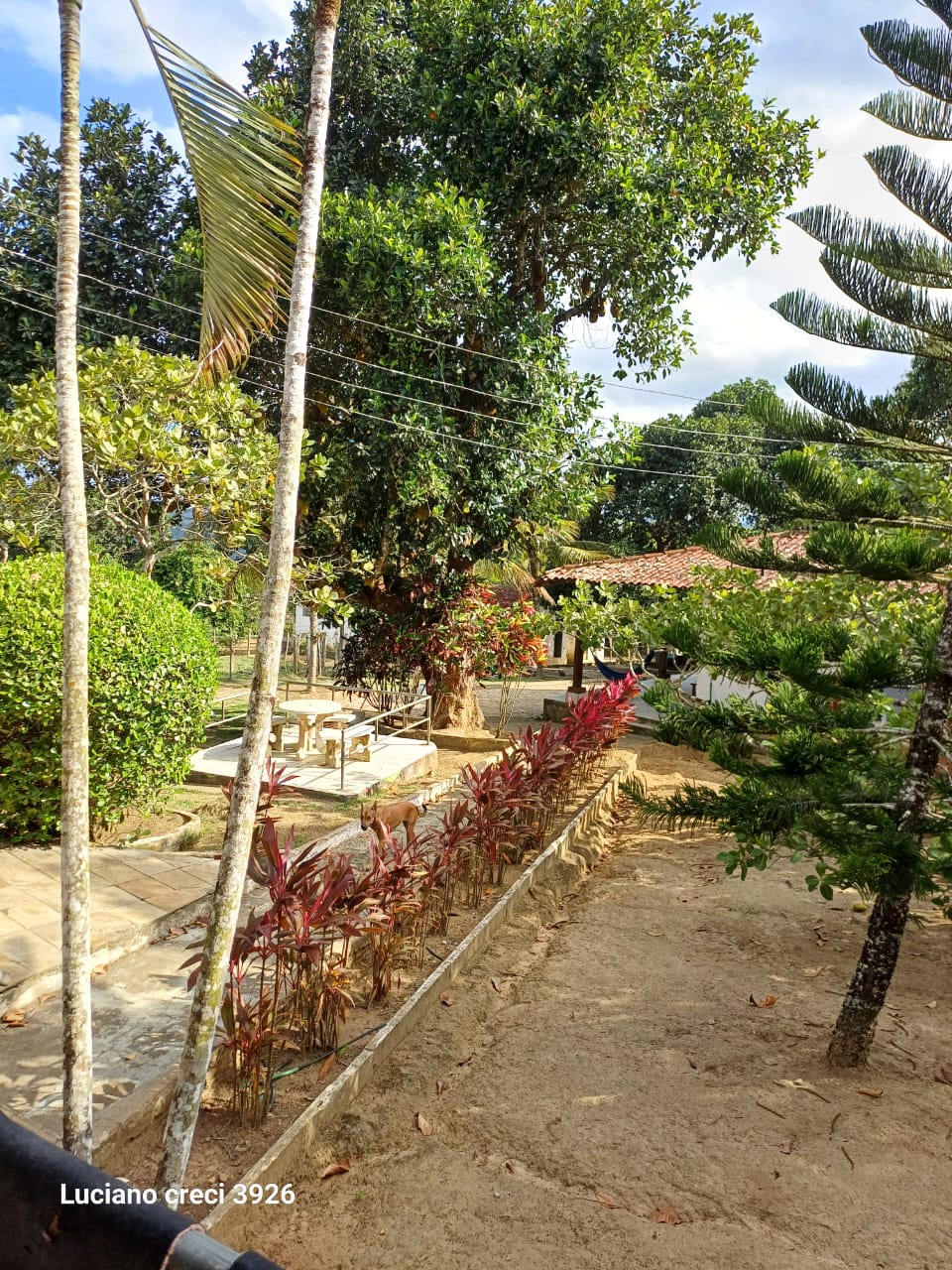 VENDO FAZENDA EM UNIAO DOS PALMARES - ALAGOAS