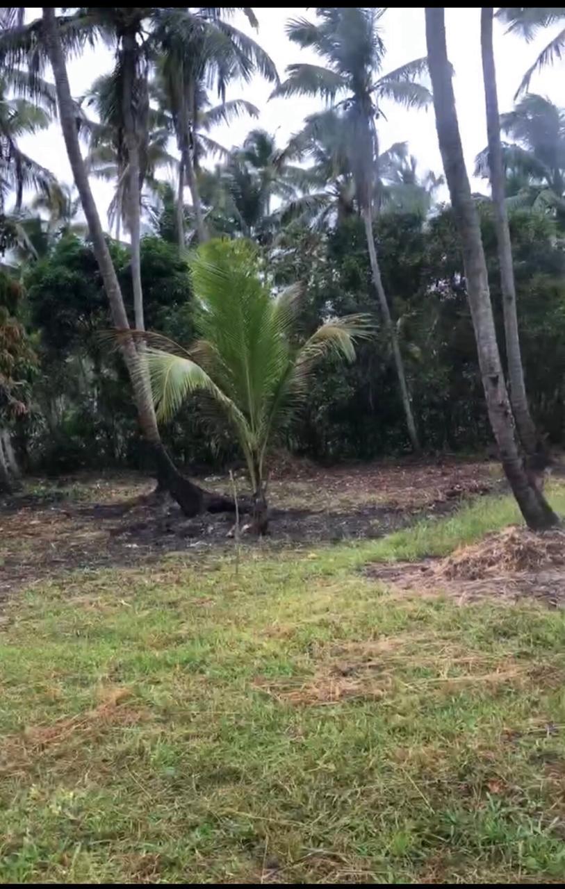 VENDO 70.000 MT² NA MASSAGUEIRA, BEIRA DA LAGOA. - MACEIO - ALAGOAS