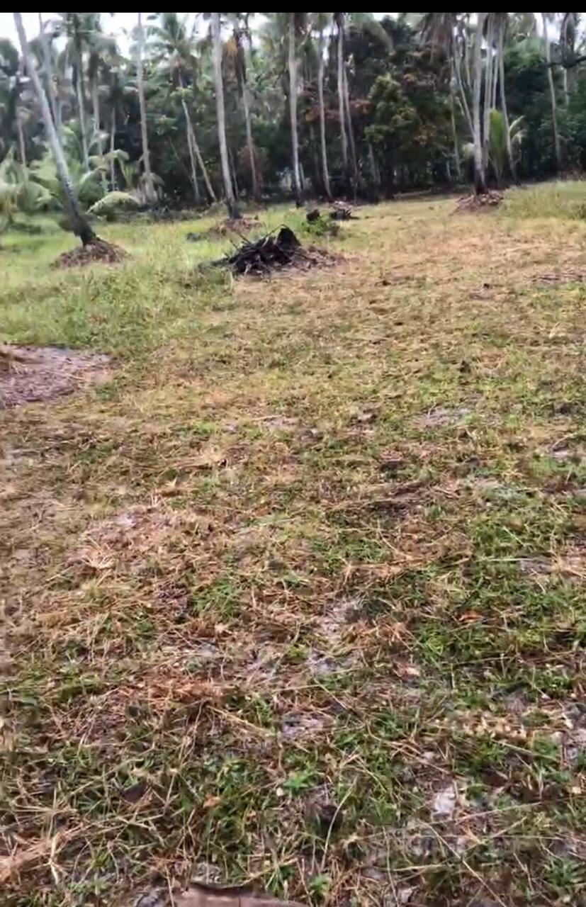 VENDO 70.000 MT² NA MASSAGUEIRA, BEIRA DA LAGOA. - MACEIO - ALAGOAS