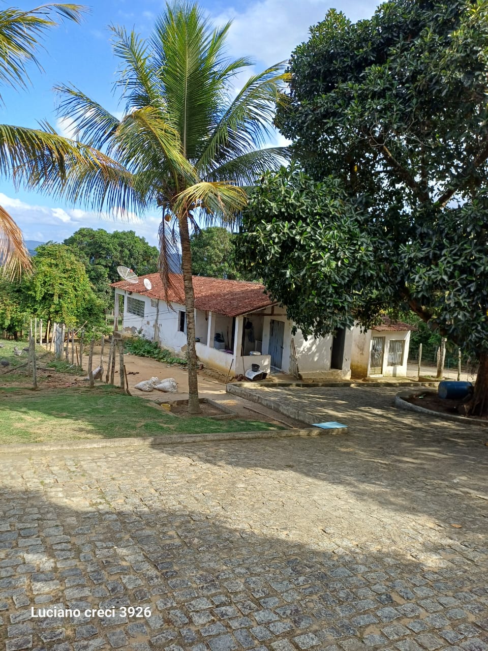 VENDO FAZENDA EM UNIAO DOS PALMARES - ALAGOAS