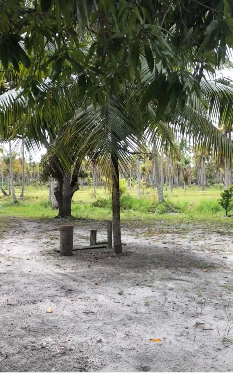 VENDO 70.000 MT² NA MASSAGUEIRA, BEIRA DA LAGOA. - MACEIO - ALAGOAS