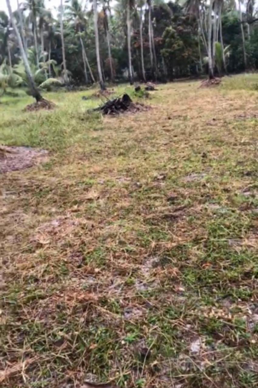 VENDO 70.000 MT² NA MASSAGUEIRA, BEIRA DA LAGOA. - MACEIO - ALAGOAS