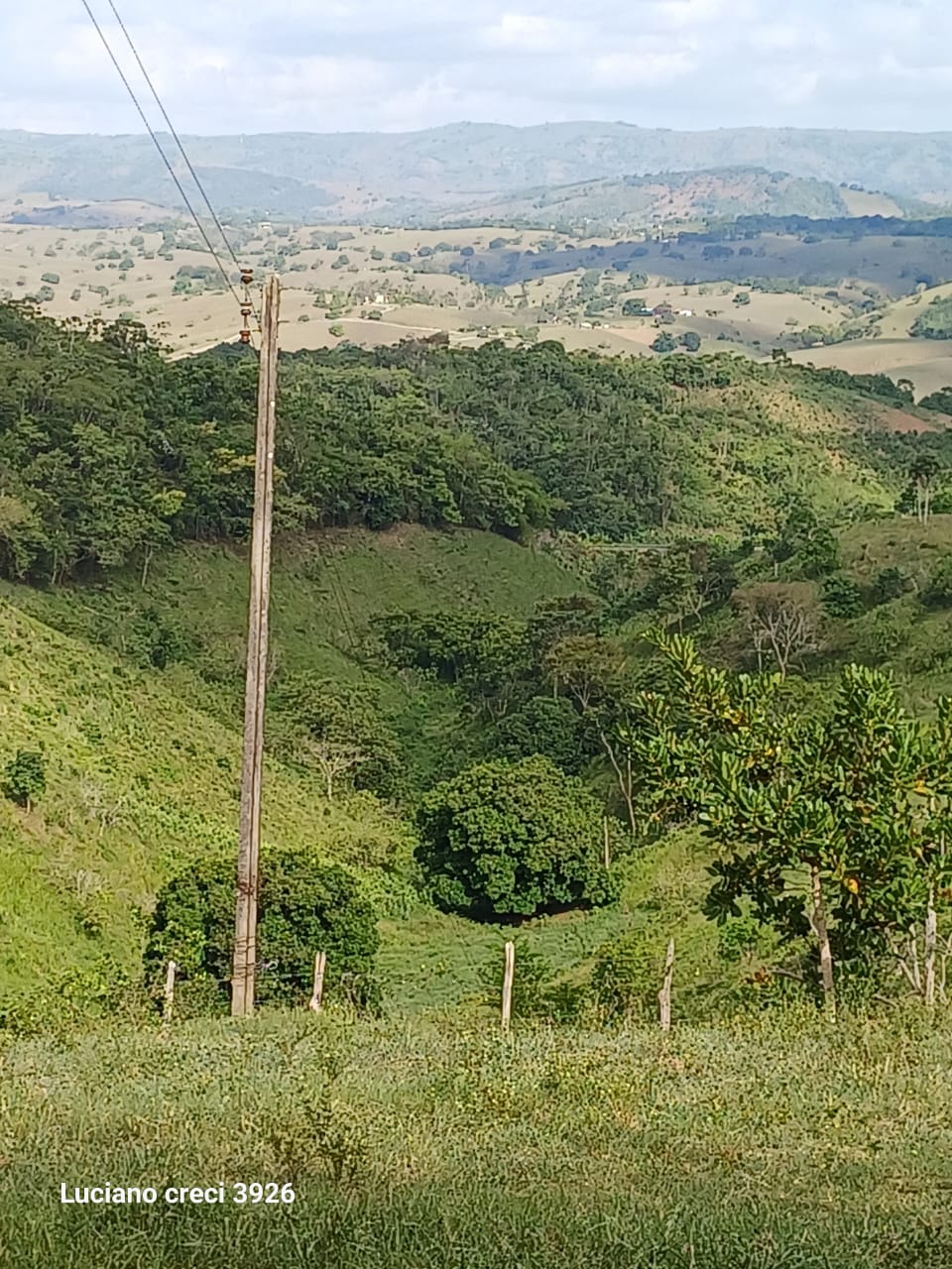 VENDO FAZENDA EM UNIAO DOS PALMARES - ALAGOAS