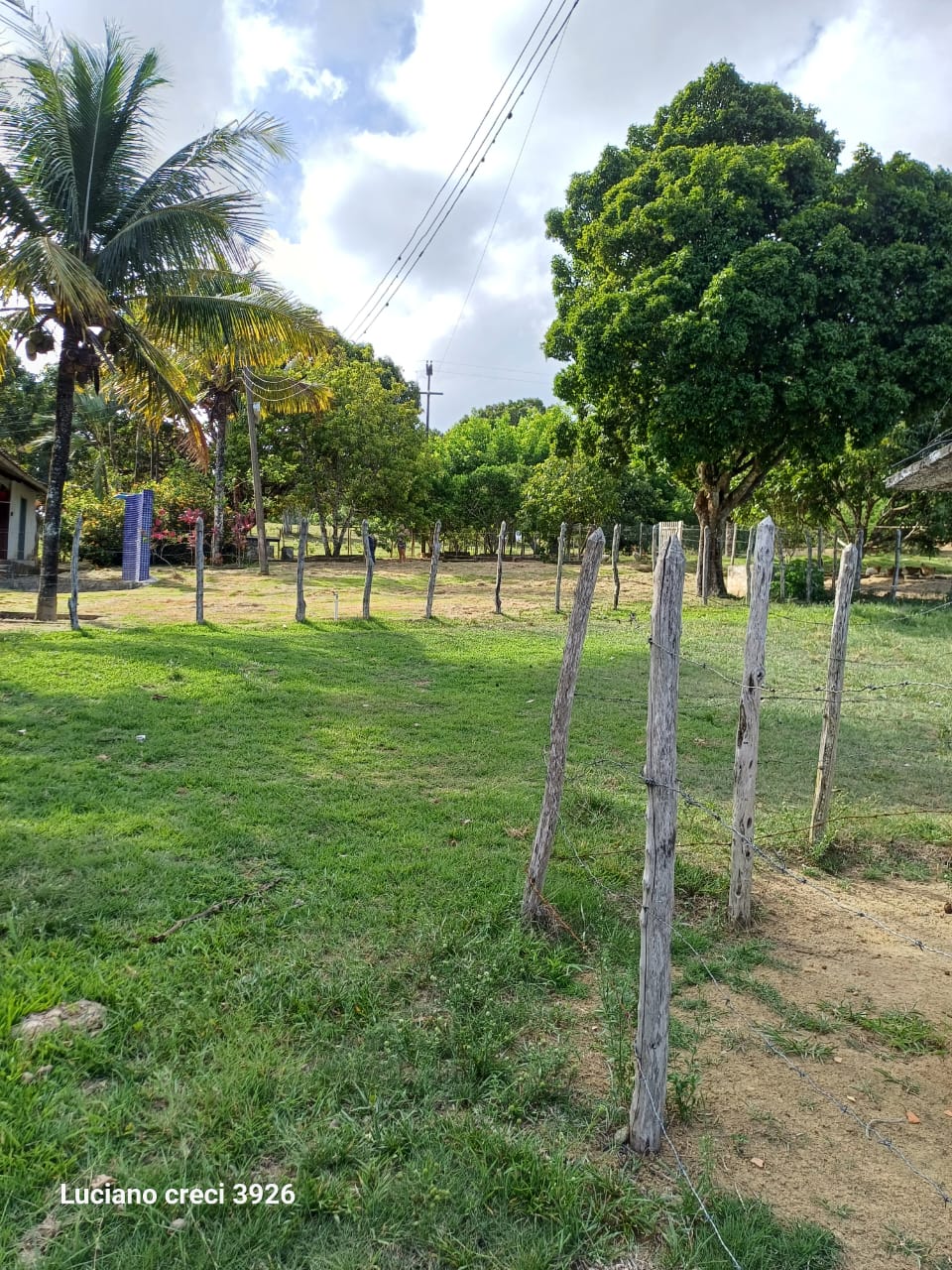 VENDO FAZENDA EM UNIAO DOS PALMARES - ALAGOAS