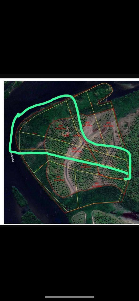 VENDO 70.000 MT² NA MASSAGUEIRA, BEIRA DA LAGOA. - MACEIO - ALAGOAS