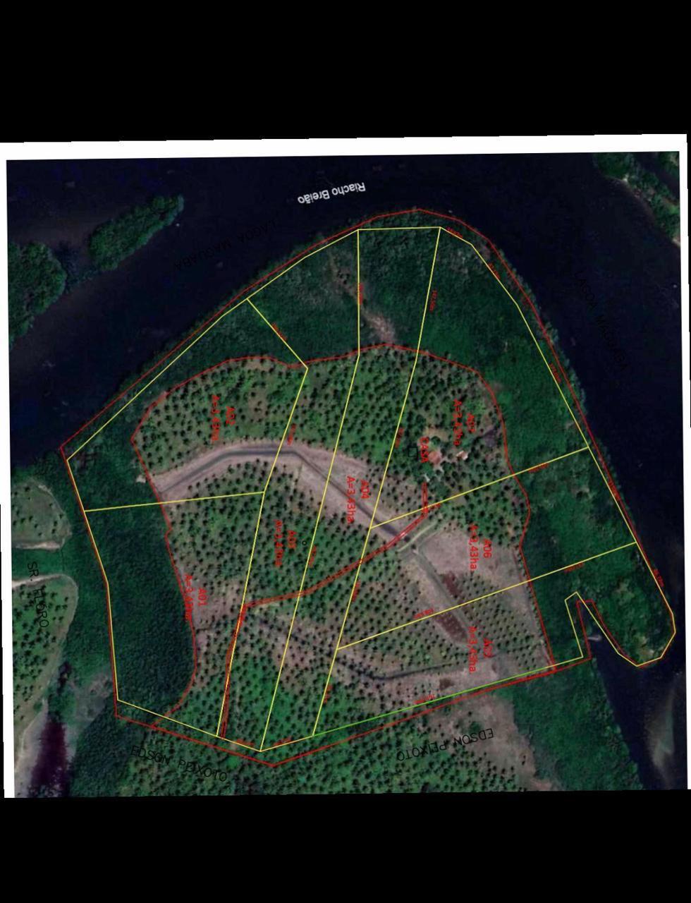 VENDO 70.000 MT² NA MASSAGUEIRA, BEIRA DA LAGOA. - MACEIO - ALAGOAS