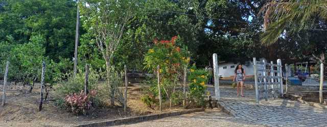 VENDO FAZENDA EM UNIAO DOS PALMARES - ALAGOAS