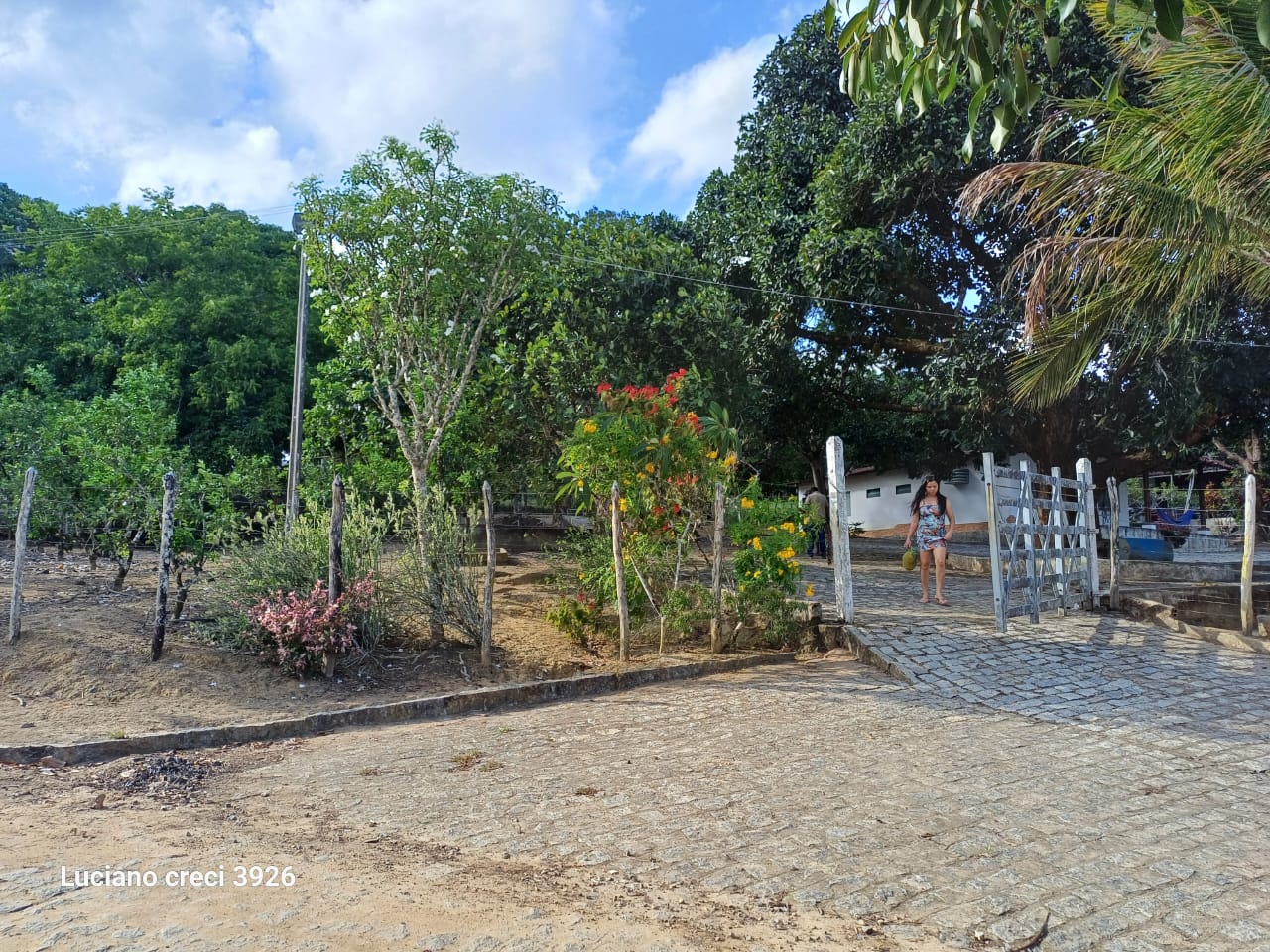 VENDO FAZENDA EM UNIAO DOS PALMARES - ALAGOAS