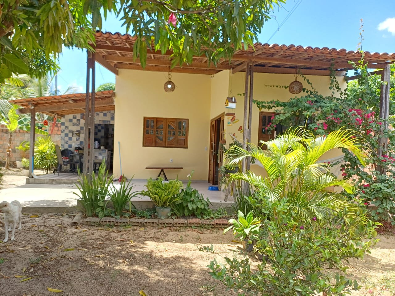 VENDO CHACARA EM RIO LARGO - ALAGOAS