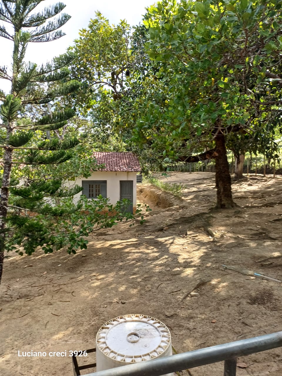 VENDO FAZENDA EM UNIAO DOS PALMARES - ALAGOAS
