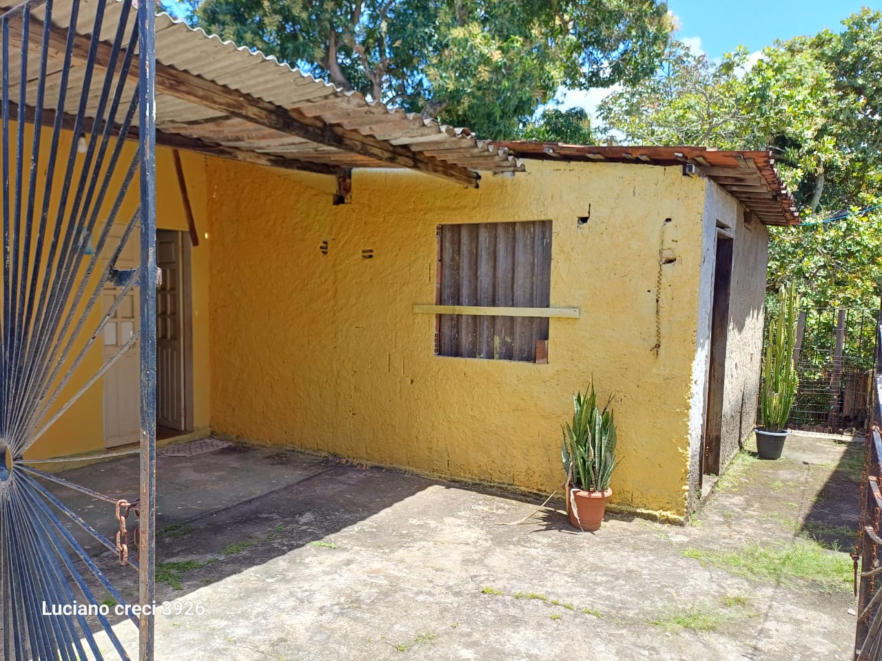 SITIO EM PARIPUEIRA - ALAGOAS