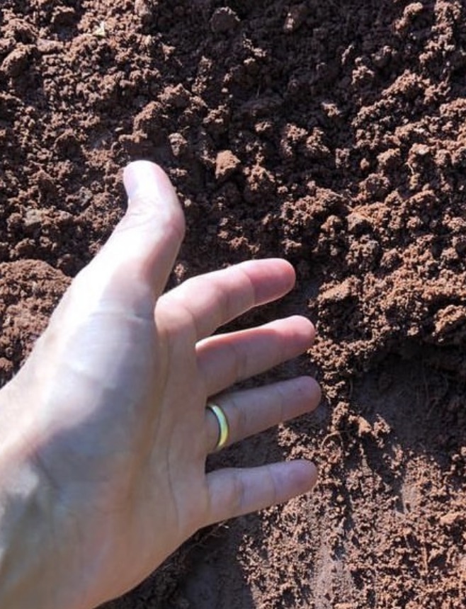 OPORTUNIDADE! FAZENDA DE SOJA E MILHO À VENDA - CAMPO GRANDE - ANHANDUÍ - MS